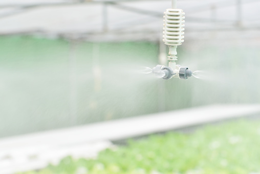 Watering system at hydroponic farm