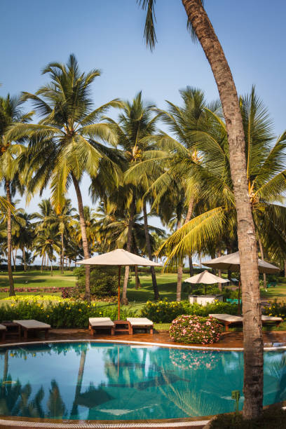 istock Sunbeds next to the swimming pool 700866612