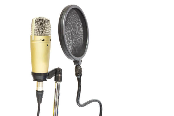 Professional condenser microphone with pop filter stock photo
