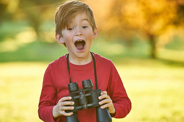 istock Young boy playing in Autumn leaves 700871406