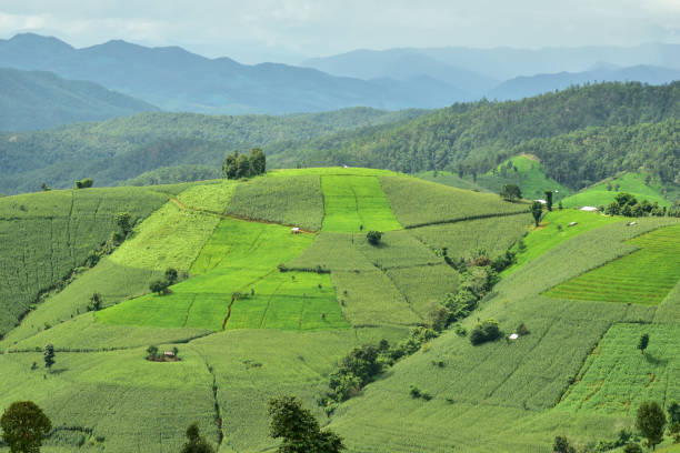istock Agricultural landscape with green fields on hills 700877442