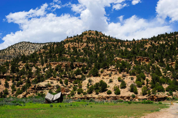 Old Homestead - fotografia de stock