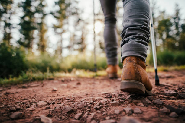 mann mit wandern pole zu klettern - power walken stock-fotos und bilder