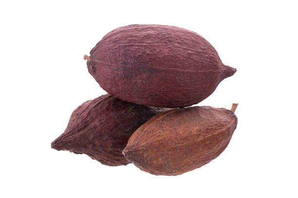 istock Cacao pods and beans isolated on white backgroun 700901046