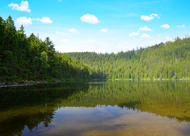 devil`s lake in czech republic. - devils lake imagens e fotografias de stock