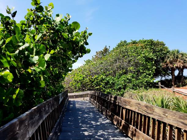 istock The wooden alley 700941370
