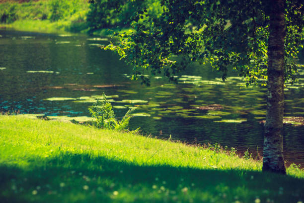 Beauty of nature, traveling concept. Pond lake in green park during spring weather.