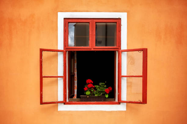 Opened old red window with flowers in orange wall.
