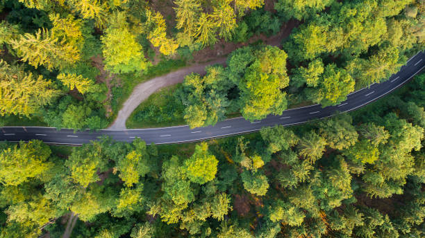istock Road through the forest - aerial view 700952306