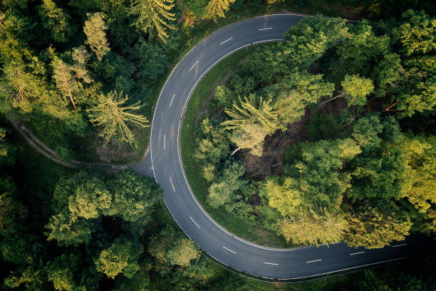 istock Road through the forest - aerial view 700956392