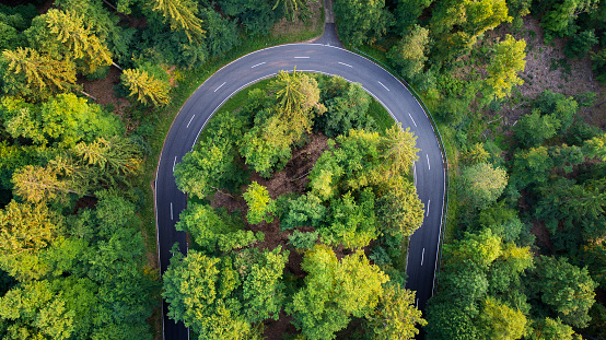 Road through the forest - aerial view