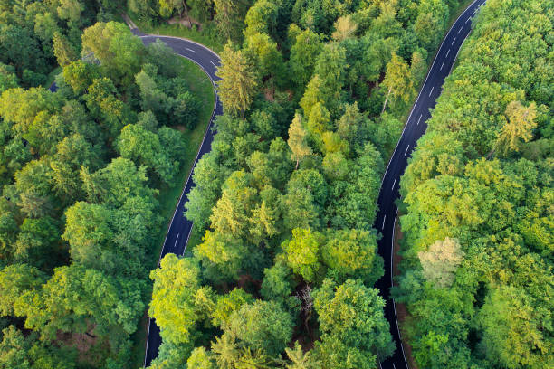 istock Road through the forest - aerial view 700958682