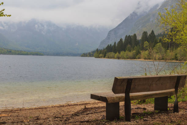 istock Bohinjko tarn, Slovenia 700976856