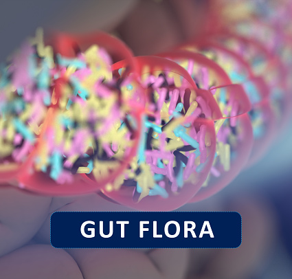 Flora Intestinala Gut Bacteria Gut Flora Microbiome Bacteria Inside The Small Intestine ...