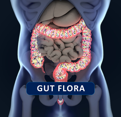 Gut bacteria, microbiome. Bacteria inside the large intestine, concept, representation with title \