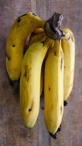 istock Raw Organic Bunch of Bananas 700999176