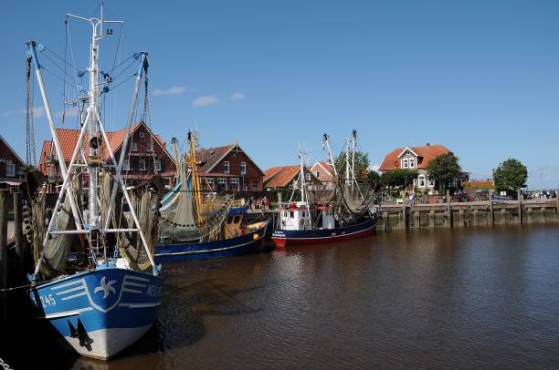 istock caronlinensiel in germany 701017204