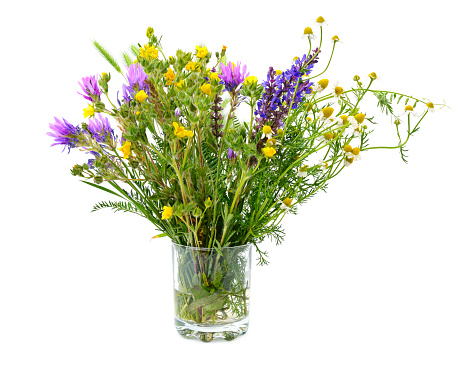 Variety of wild flowers in a glass isolated on white background.