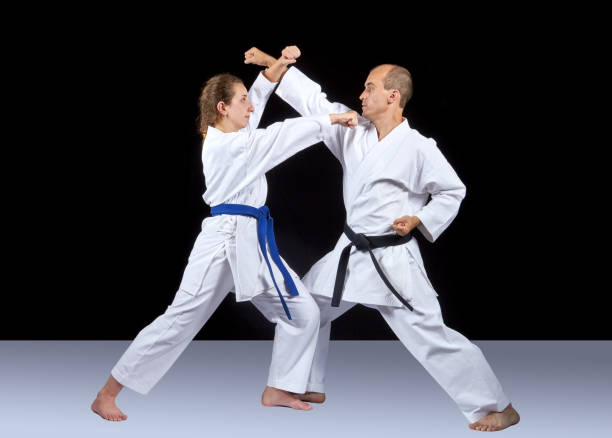 istock Karate technique is trained by adult athletes 701055350