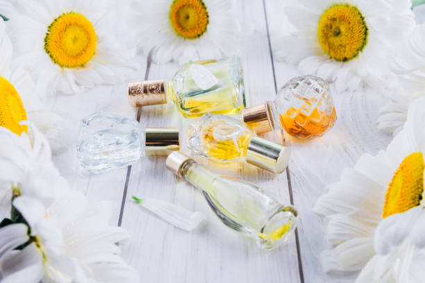 istock Bottles of perfume with camomile 701057924