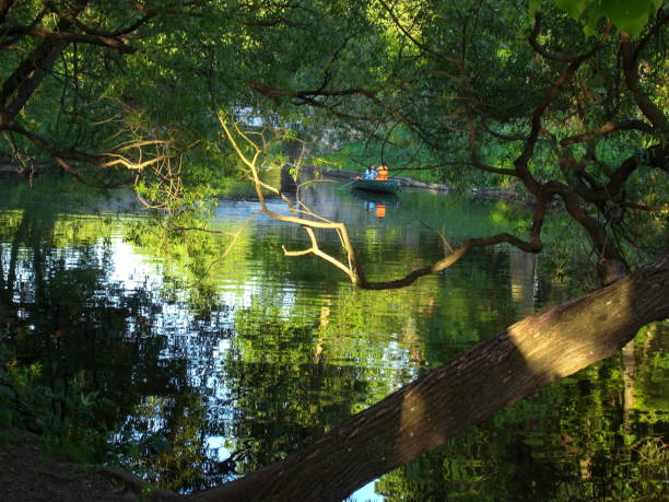 istock Trees are reflected in the water. Summer, park. Reflection in water. Abstraction. 701076436