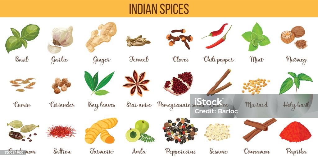 Big vector set of popular culinary spices silhouettes. Ginger, chili pepper, garlic, nutmeg, anise etc. Big vector set of popular indian spices. Ginger, Cloves, Nutmeg, Cumin, Star anise, Holy basil, Cardamom, Saffron, Turmeric, Amla, Cinnamon, etc For cosmetics store spa icon price tag label Spice stock vector