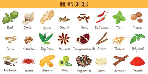 Big vector set of popular culinary spices silhouettes. Ginger, chili pepper, garlic, nutmeg, anise etc. Big vector set of popular indian spices. Ginger, Cloves, Nutmeg, Cumin, Star anise, Holy basil, Cardamom, Saffron, Turmeric, Amla, Cinnamon, etc For cosmetics store spa icon price tag label star anise stock illustrations