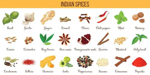 Vector illustration of Big vector set of popular culinary spices silhouettes. Ginger, chili pepper, garlic, nutmeg, anise etc.