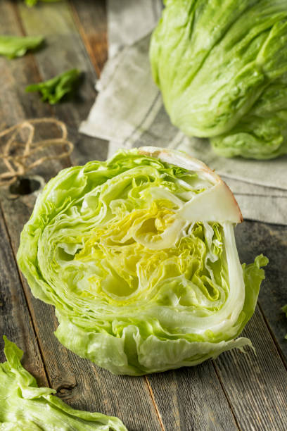 istock Raw Organic Round Crisp Iceberg Lettuce 701085224