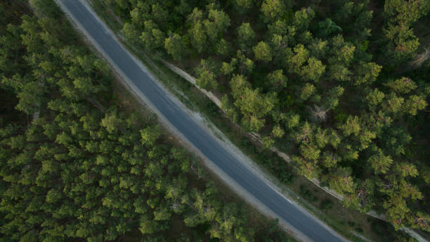 istock Forest and road removed from the dron at sunrise. 701085420