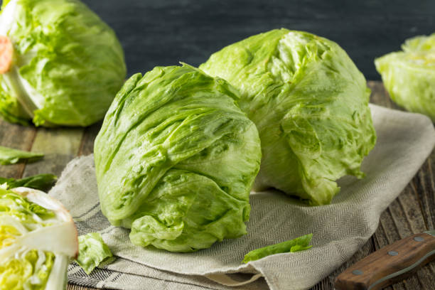 surowa organiczna okrągła chrupiąca sałata lodowa - head cabbage zdjęcia i obrazy z banku zdjęć