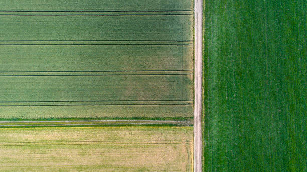 istock Agricultural area, fields - aerial view 701095870