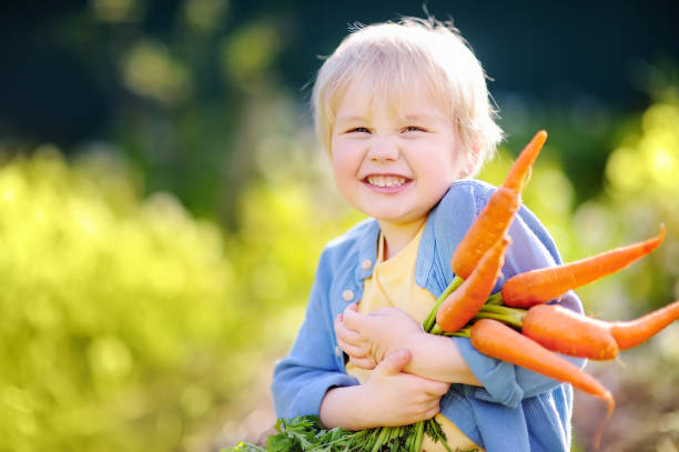 istock Cute toddler boy showing fresh organic carrot 701103518