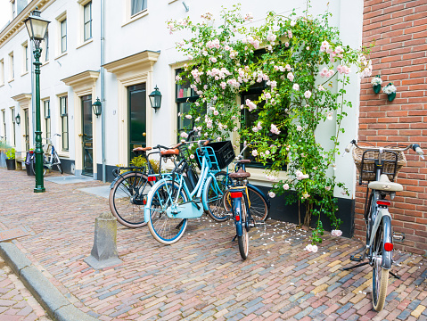 Street scene with parked bicycles and wall of house with climbing rose in old town of Wijk bij Duurstede in province Utrecht, Netherlands