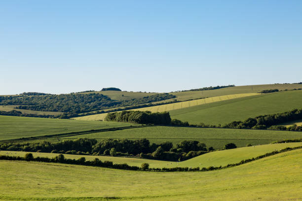 istock Green Landscape and Blue Sky 701131564