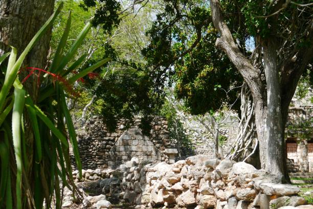 istock Uxmal mayan ruins Pyramide culture mexico Yucatan 701135654