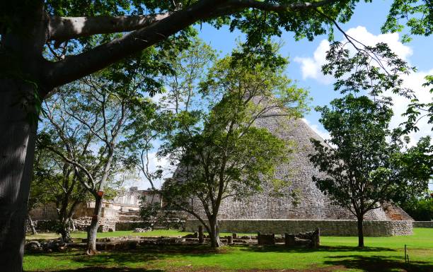 istock Uxmal mayan ruins Pyramide culture mexico Yucatan 701135842