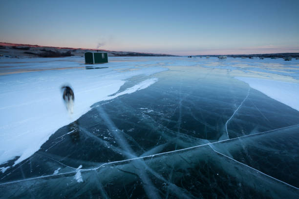 parque provincial de buffalo libras hielo pesca saskatchewan cerca de quijada de los alces de canadá - saskatchewan north prairie sunset fotografías e imágenes de stock