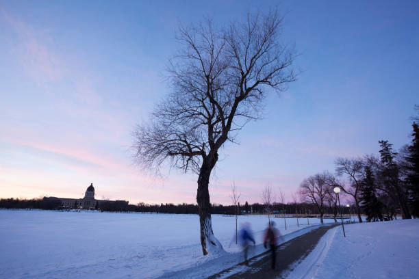 冬にワスカナ湖レジーナサスカチュワン - saskatchewan regina parliament building wascana lake ストックフォトと画像