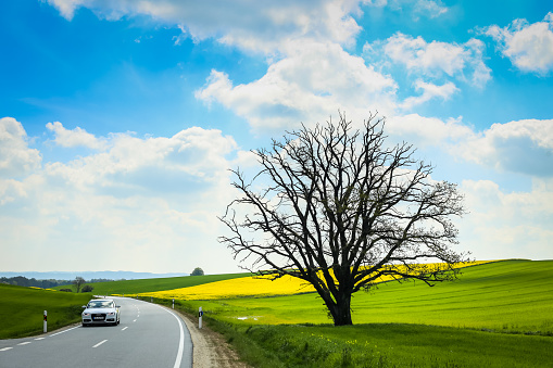 NANDLSTADT, GERMANY - 10.05.2017 : A car on the road passing next to an isolated tree and cultivated fields in spring in Bavaria, Germany.