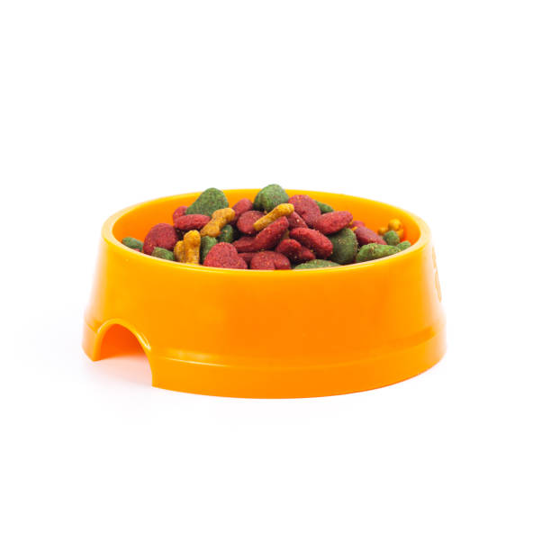 istock dog food bowl on white 701181426