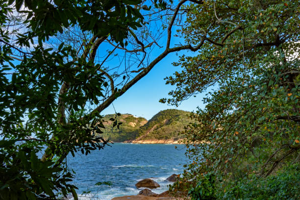 o mar e a floresta - clear sky landscape urca southeastern region - fotografias e filmes do acervo