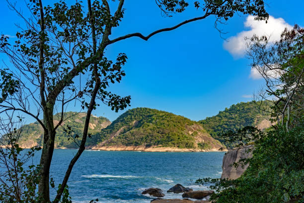 il mare e la foresta - urca rio de janeiro rainforest brazil foto e immagini stock