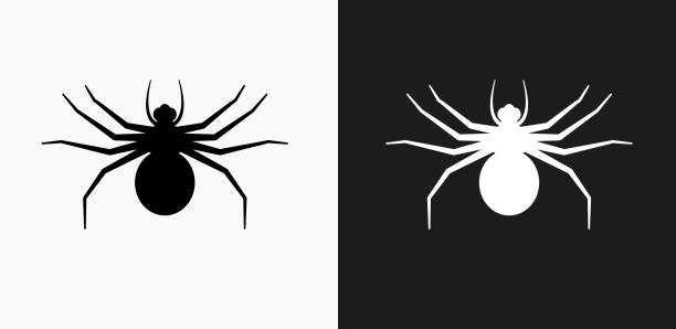 große spinne symbol auf schwarz-weiß-vektor-hintergründe - 2234 stock-grafiken, -clipart, -cartoons und -symbole