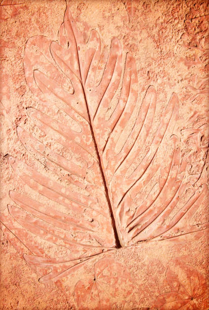 istock marks of leaf on the concrete 701203610