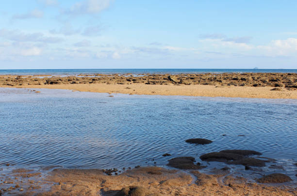 istock Seaside view of low tide 701208952