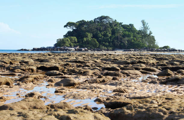 istock Seaside view of low tide 701209044