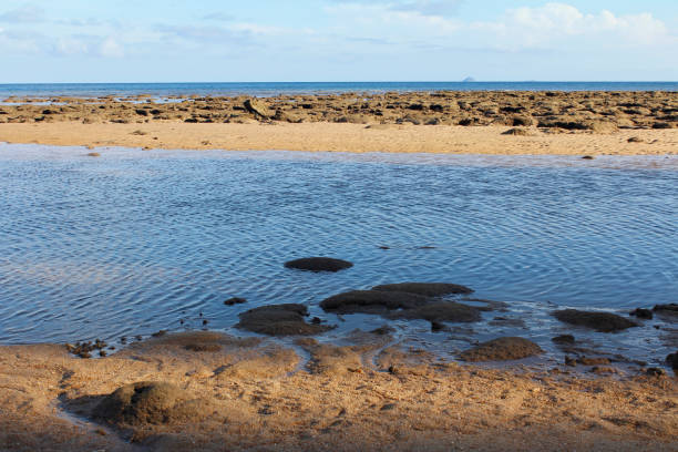 istock Seaside view of low tide 701209360