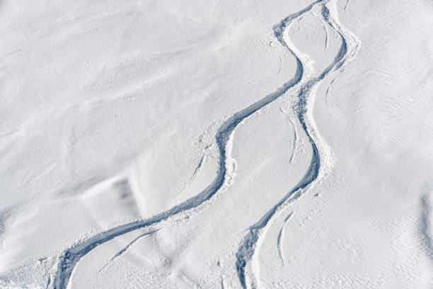 istock Snowboard free ride tracks in powder snow 701225252