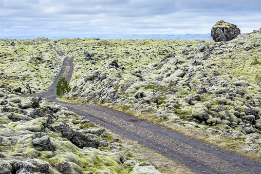 Road through the lava field Eldhraun, south Iceland.